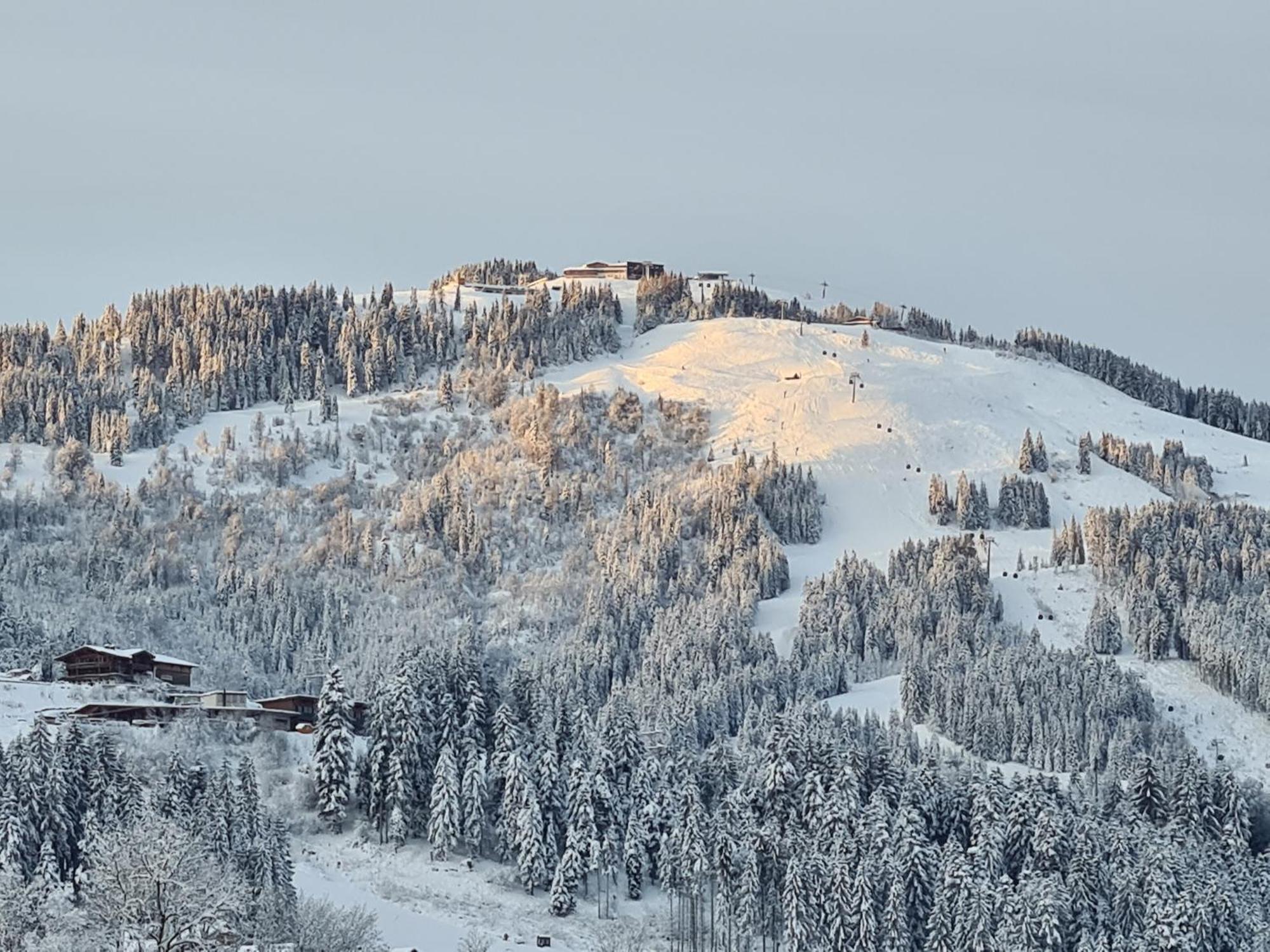 Appartamento Going Easy Going am Wilden Kaiser Esterno foto